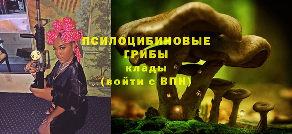бошки Инсар