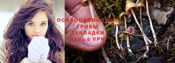 мяу мяу мука Зерноград