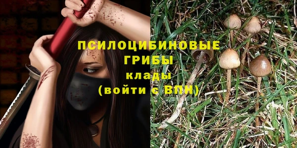 каннабис Зеленокумск