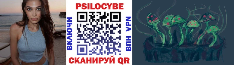 Псилоцибиновые грибы Psilocybe  где найти наркотики  Ясногорск 